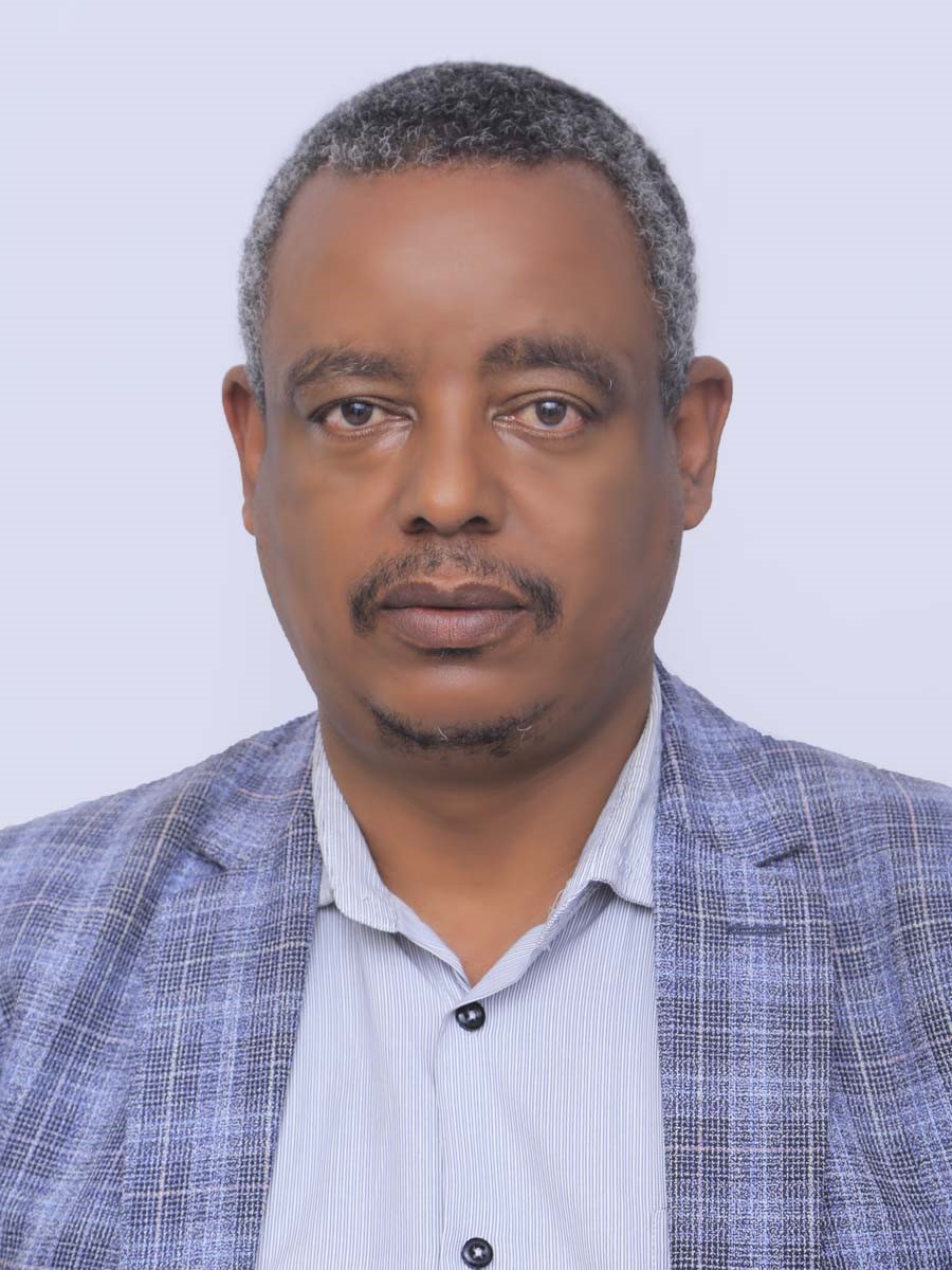 Mr. Mesfin Solomon